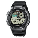AE-1000W-1BV-DH95