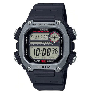 DW-291H-1AV DH293