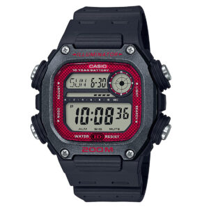 DW-291H-1BV DH294