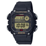 DW-291H-9AV DH304