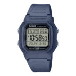 W-800H-2AV DH366