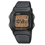 W-800HG-9AV DH06