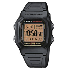W-800HG-9AV DH06